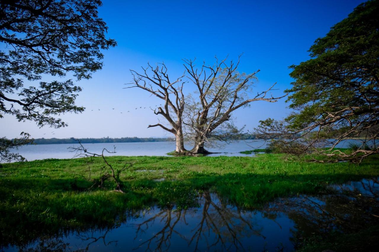 Double Lake View Tissa & Safari Tissamaharama Buitenkant foto