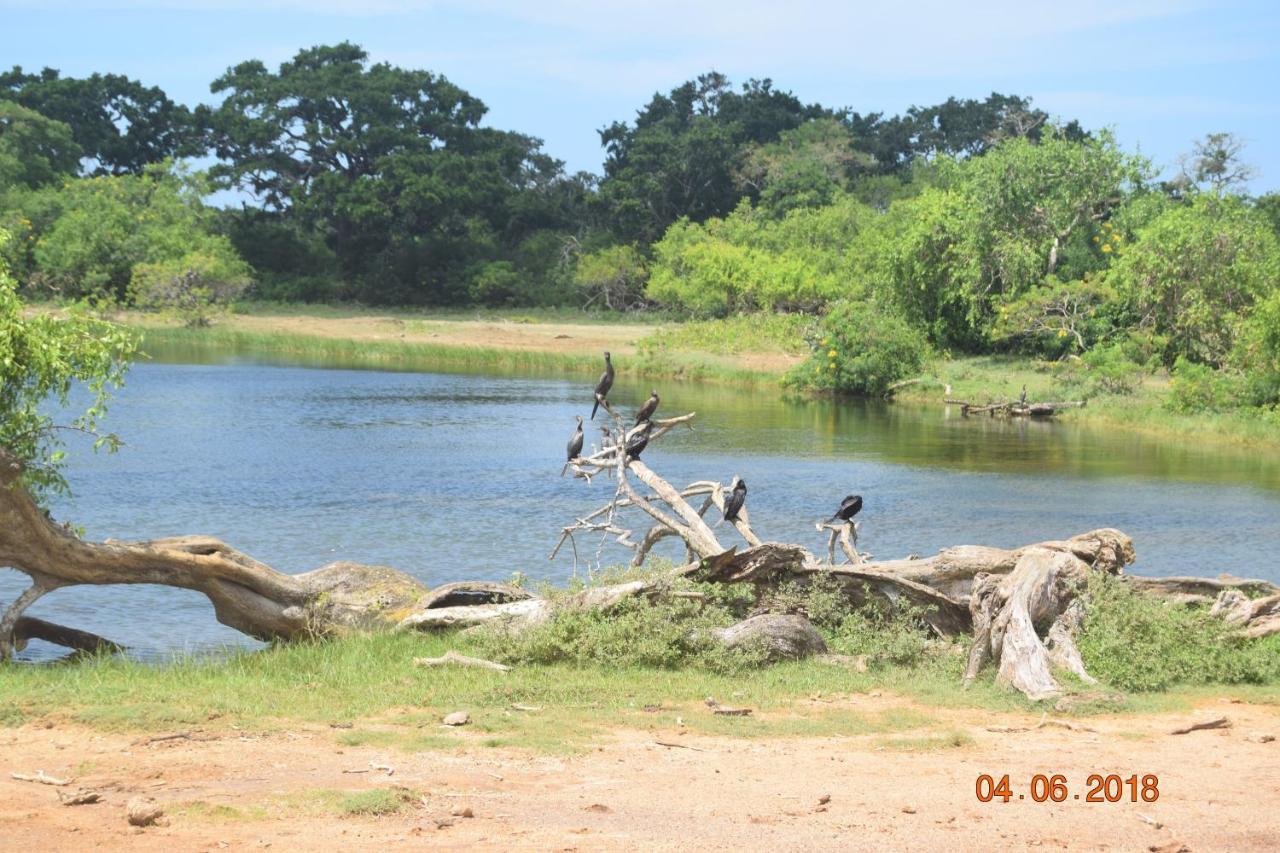 Double Lake View Tissa & Safari Tissamaharama Buitenkant foto