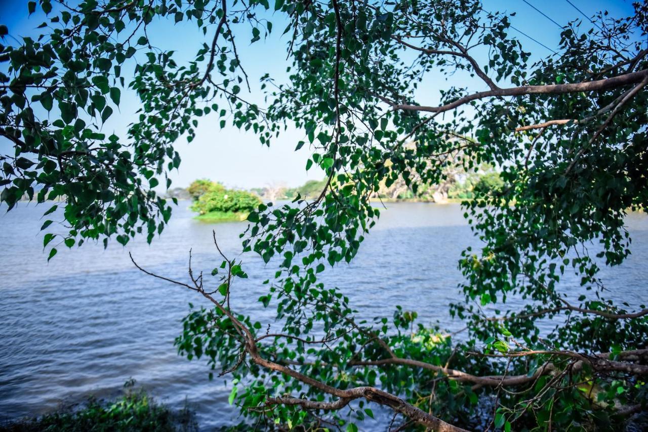 Double Lake View Tissa & Safari Tissamaharama Buitenkant foto